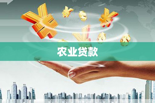 金湖农业贷款