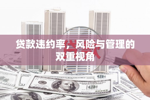 张湾贷款违约率，风险与管理的双重视角