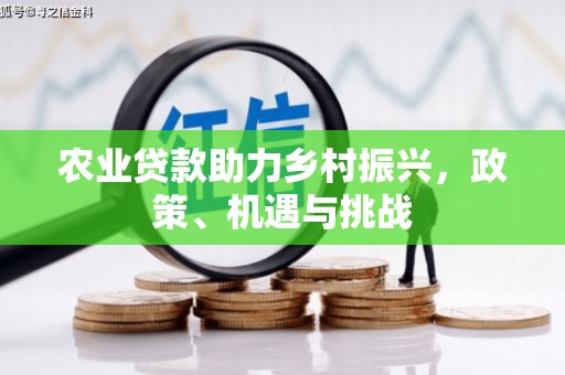 阜康农业贷款助力乡村振兴，政策、机遇与挑战