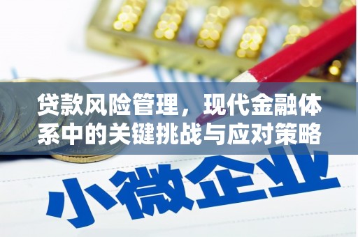 秀林贷款风险管理，现代金融体系中的关键挑战与应对策略