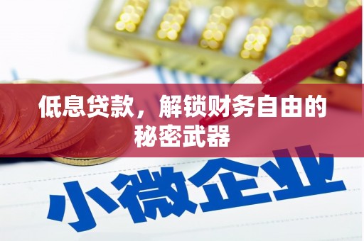 湘东低息贷款，解锁财务自由的秘密武器