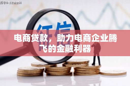 嘉禾电商贷款，助力电商企业腾飞的金融利器