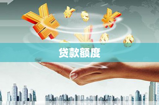 沙洋贷款额度