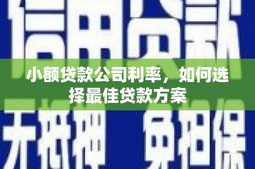 伽师小额贷款公司利率，如何选择最佳贷款方案