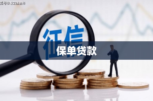 外埔保单贷款