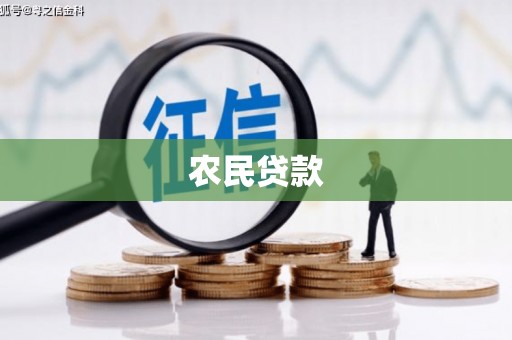 普湾新区农民贷款