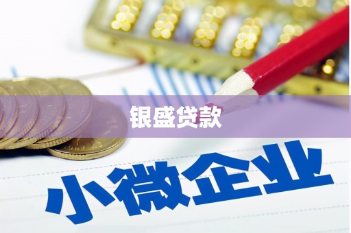 文昌银盛贷款