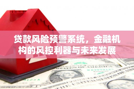 陆良贷款风险预警系统，金融机构的风控利器与未来发展