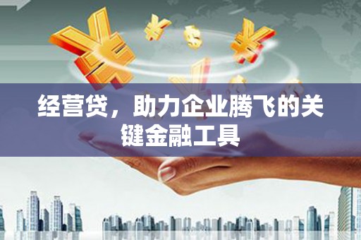馆陶经营贷，助力企业腾飞的关键金融工具