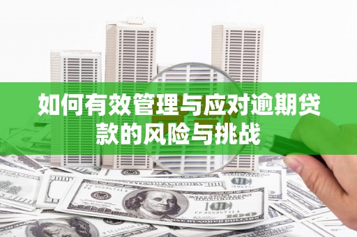 淡水如何有效管理与应对逾期贷款的风险与挑战