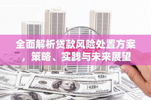 郧西全面解析贷款风险处置方案，策略、实践与未来展望