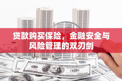 桃江贷款购买保险，金融安全与风险管理的双刃剑