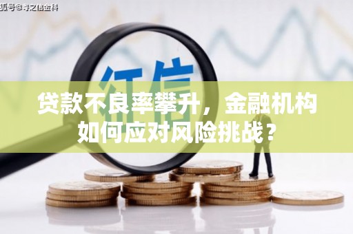 景谷贷款不良率攀升，金融机构如何应对风险挑战？