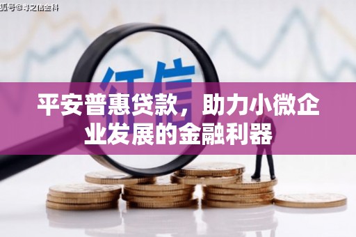 九台平安普惠贷款，助力小微企业发展的金融利器