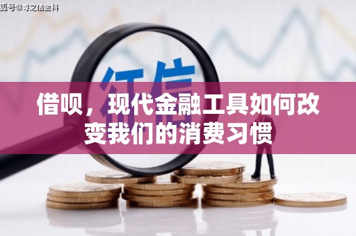 美姑借呗，现代金融工具如何改变我们的消费习惯