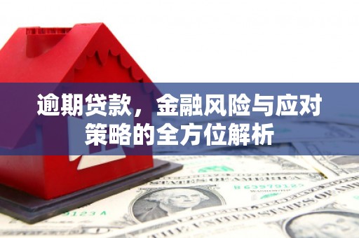 合川逾期贷款，金融风险与应对策略的全方位解析