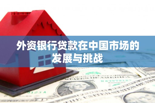 呼兰外资银行贷款在中国市场的发展与挑战