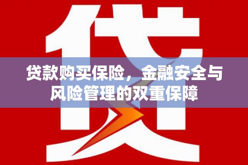 鹤庆贷款购买保险，金融安全与风险管理的双重保障