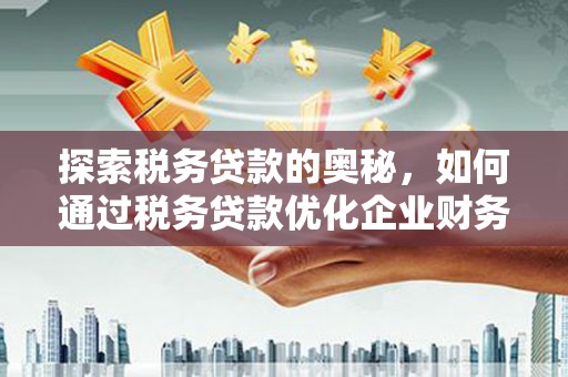 横县探索税务贷款的奥秘，如何通过税务贷款优化企业财务