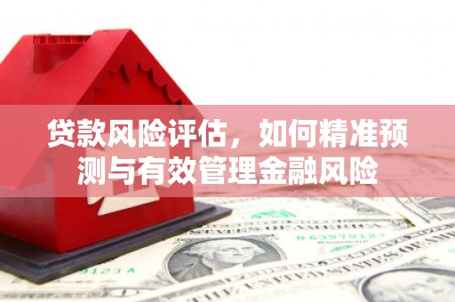 宣威贷款风险评估，如何精准预测与有效管理金融风险
