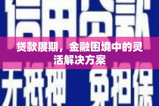 西岗贷款展期，金融困境中的灵活解决方案
