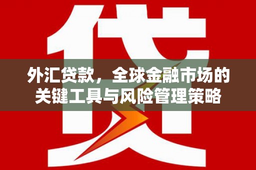 桓仁外汇贷款，全球金融市场的关键工具与风险管理策略