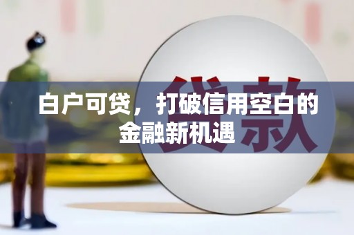 坊子白户可贷，打破信用空白的金融新机遇