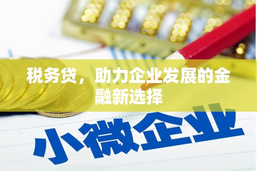 工布江达税务贷，助力企业发展的金融新选择