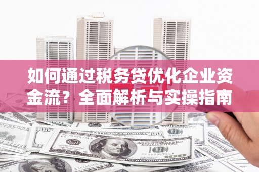吴兴如何通过税务贷优化企业资金流？全面解析与实操指南