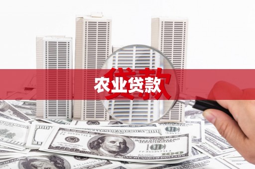 将军农业贷款
