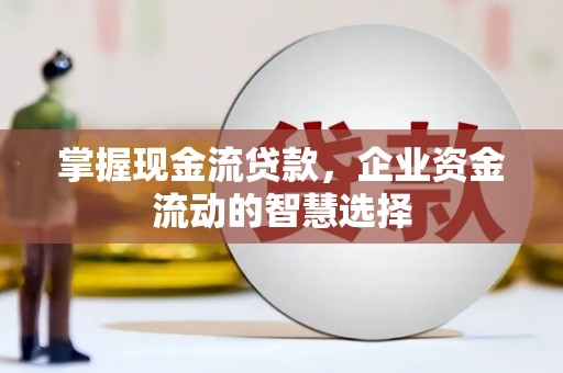 阆中掌握现金流贷款，企业资金流动的智慧选择