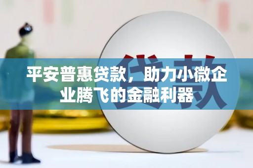 随县平安普惠贷款，助力小微企业腾飞的金融利器