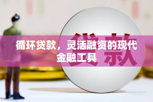 博乐循环贷款，灵活融资的现代金融工具