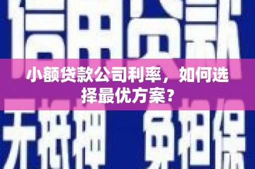 美兰小额贷款公司利率，如何选择最优方案？