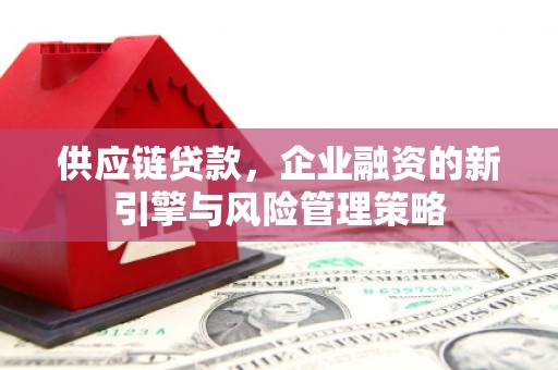 台西供应链贷款，企业融资的新引擎与风险管理策略