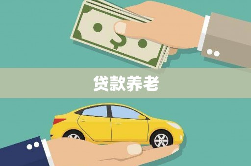 丹凤贷款养老