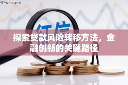 中寮探索贷款风险转移方法，金融创新的关键路径