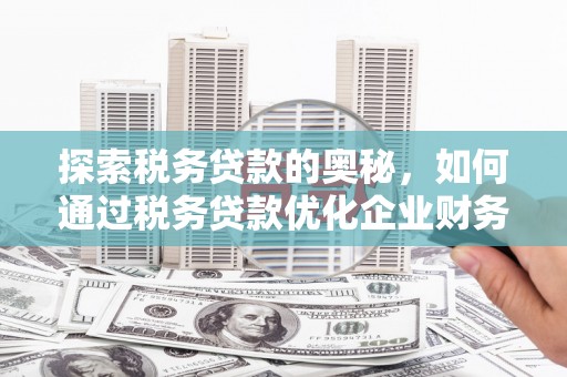 东川探索税务贷款的奥秘，如何通过税务贷款优化企业财务