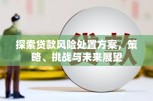 桃园探索贷款风险处置方案，策略、挑战与未来展望