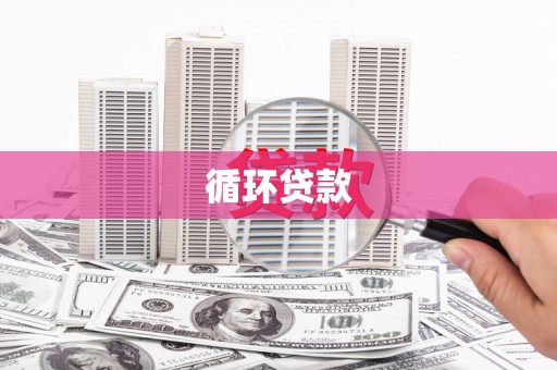 太和循环贷款