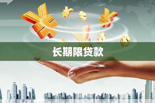 天元长期限贷款