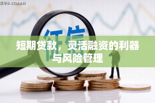 港闸短期贷款，灵活融资的利器与风险管理