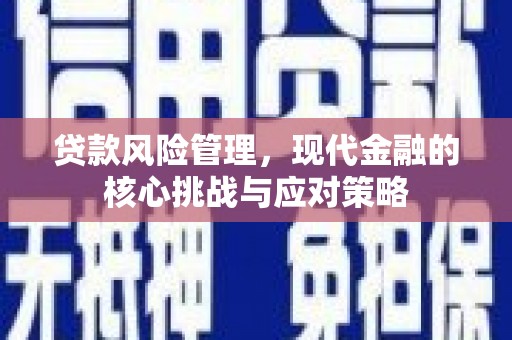 西海岸贷款风险管理，现代金融的核心挑战与应对策略