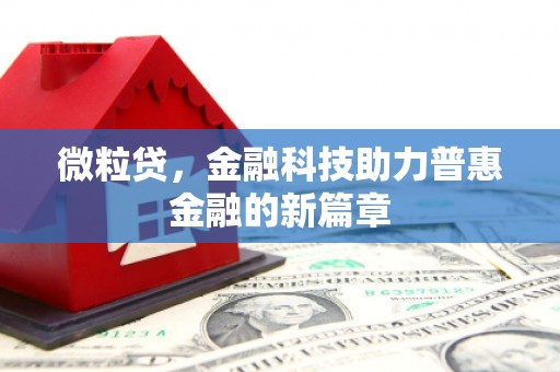 湖北微粒贷，金融科技助力普惠金融的新篇章