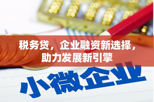 大武税务贷，企业融资新选择，助力发展新引擎