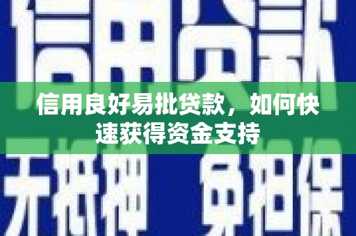 嵩县信用良好易批贷款，如何快速获得资金支持