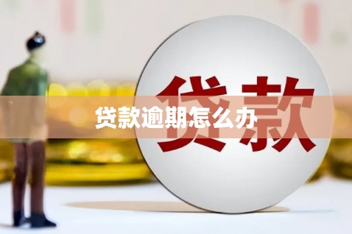 利津贷款逾期怎么办
