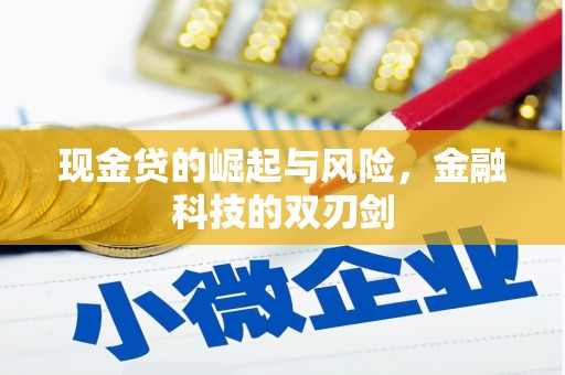 南岳现金贷的崛起与风险，金融科技的双刃剑