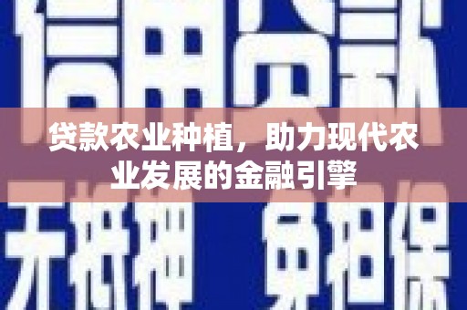 壮围贷款农业种植，助力现代农业发展的金融引擎