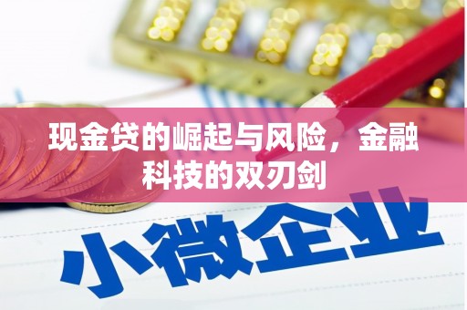 洛浦现金贷的崛起与风险，金融科技的双刃剑